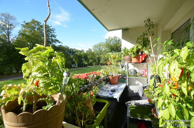 2- Zimmer Erdgeschosswohnung mit Balkon in Braunschweig Heidberg