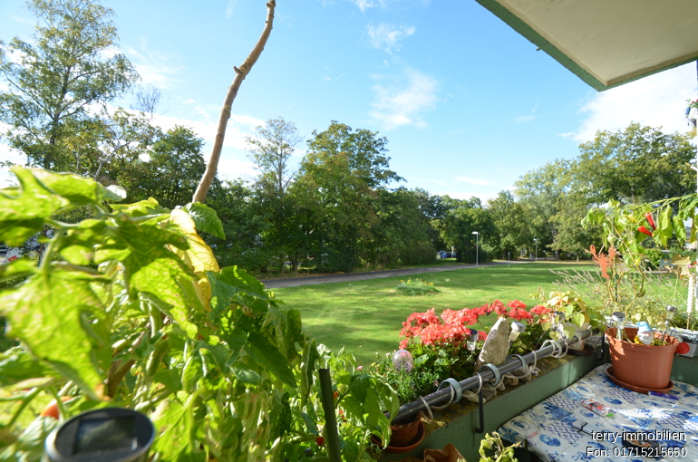 2- Zimmer Erdgeschosswohnung mit Balkon in Braunschweig Heidberg