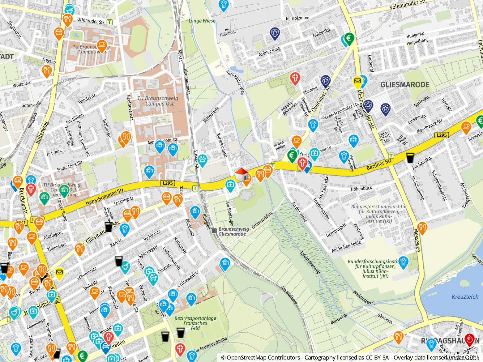 Mehrfamilienhaus in guter Lage von Braunschweig