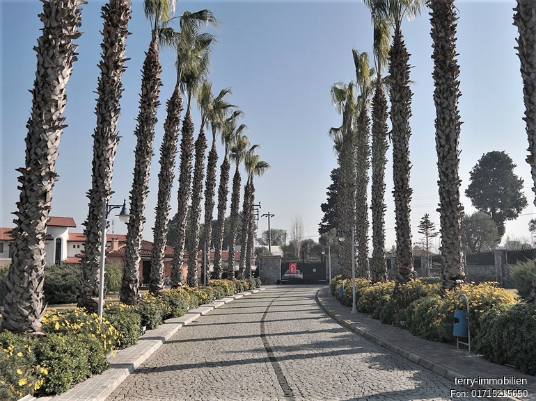 in Izmir Urla Türkei