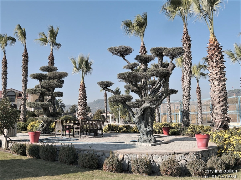 in Izmir Urla Türkei