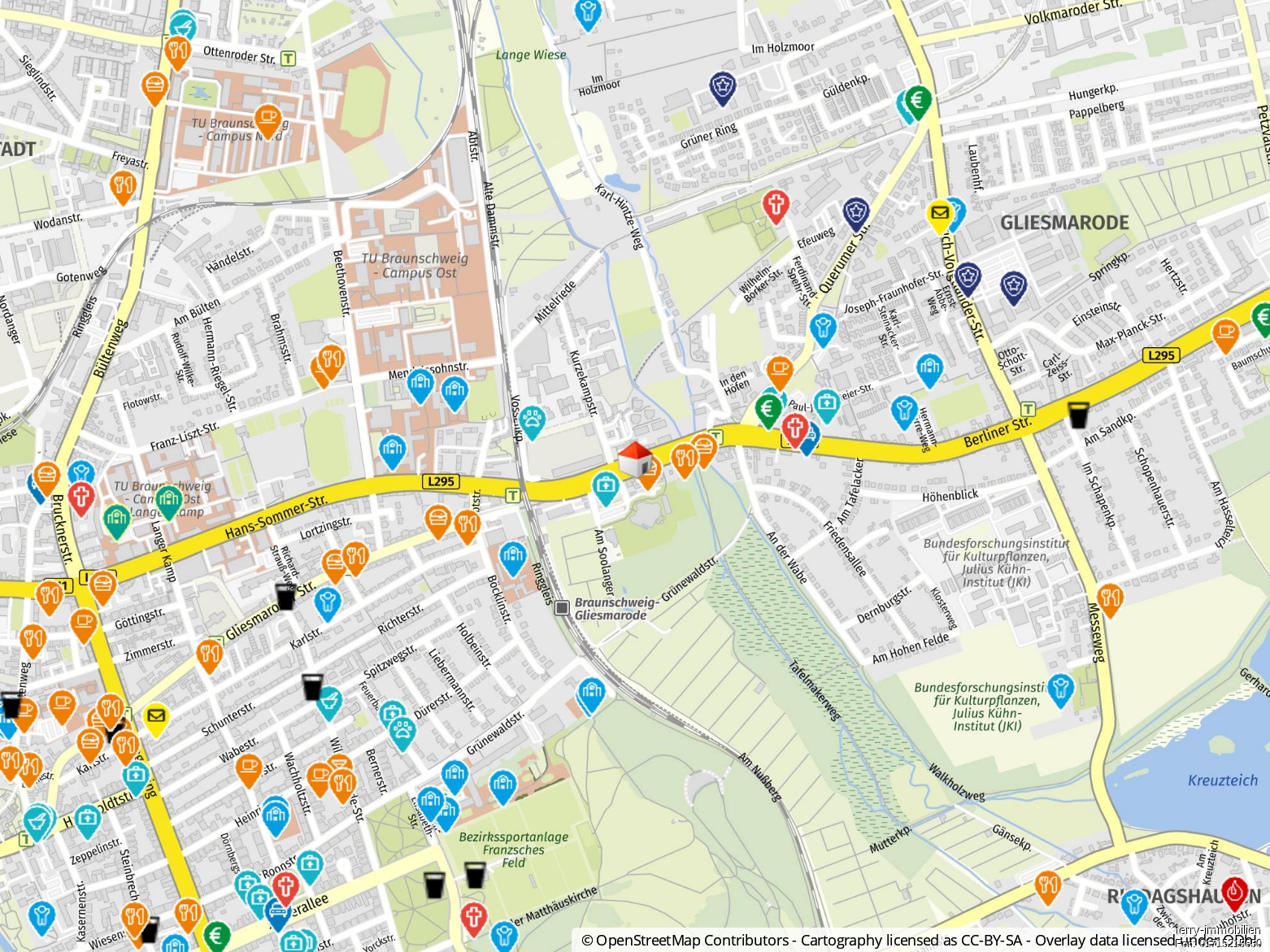 Mehrfamilienhaus in guter Lage von Braunschweig